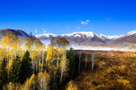 音阙诗听、赵方婧《羊城记》歌词表达及评论赏析