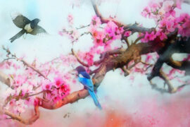 林渝植《谁家》歌词及评论赏析