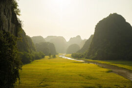 柳宗元《别舍弟宗一》全文及鉴赏