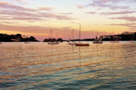 苏轼《临江仙·昨夜渡江何处宿》全文及鉴赏