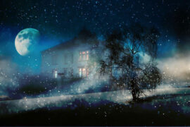 那奇沃夫、苡慧《小小宇》歌词表达及评论赏析