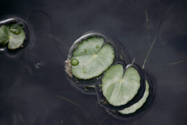 KEYI杨豪《阁楼》歌词及评论赏析