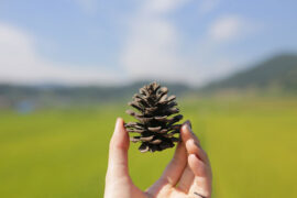 陈粒《兀兀》歌词表达及评论赏析