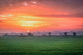 陈子晴《陪你看日落》歌词及评论赏析