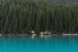 韩愈《湘中》全文及鉴赏