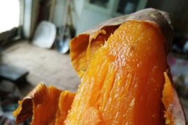 地瓜——童年的味道-封面图