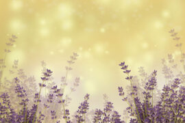 李白《赤壁歌送别》全文及鉴赏