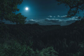 金玟岐《潮汐恋上月亮》歌词及评论赏析