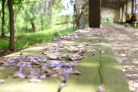 韩愈《送湖南李正字归》全文及鉴赏