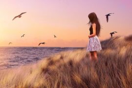 赖美云《不枉不忘》（少年派2插曲）歌词及评论赏析