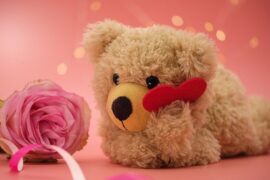 3.7女生节简短祝福语走心文案