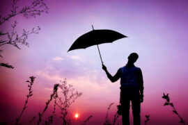 周深《避难所》歌词表达及评论赏析