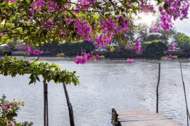 韩愈《同水部张员外籍曲江春游寄白二十二舍人》全文翻译赏析及点评