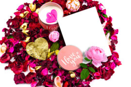 萨吉《相互奔赴的心》（春日暖阳插曲）歌词及评论