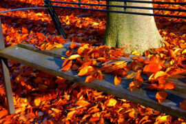 小霞《永远的诗》歌词及评论赏析