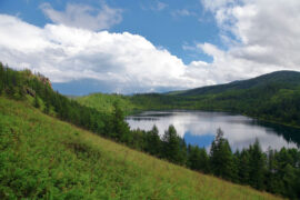 离愁渐远渐无穷，迢迢不断如春水