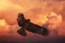 大鹏之动，非一羽之轻也；骐骥之速，非一足之力也