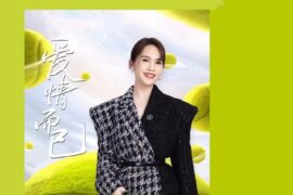 杨丞琳新歌《爱情而已》歌词完整版
