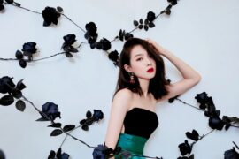 宋茜《星星泪》（美丽的秘密主题曲）歌词