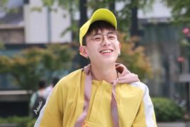 焦迈奇《我欢喜喜欢你》歌词完整版