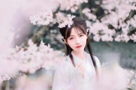 银临《天意安排》 (花琉璃轶闻主题曲）歌词