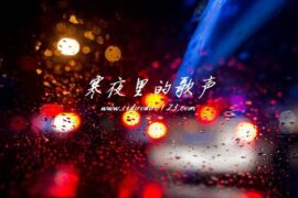 寒夜里的歌声封面图片