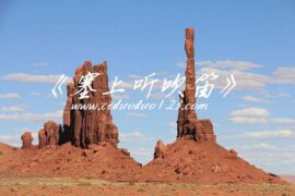 高适《塞上听吹笛》译文及赏析封面图