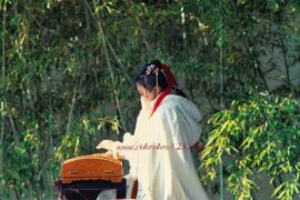 韩愈《听颖师弹琴》译文及赏析封面图