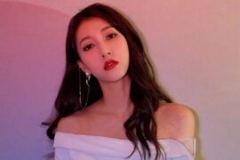 弦子新歌《心如故》（问道主题曲）歌词