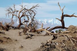 王之涣《凉州词》原文注释翻译及赏析封面图片