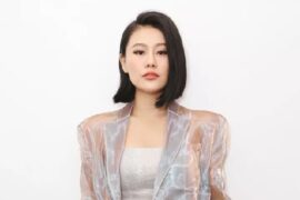 袁娅维新歌《界》(长月烬明插曲）歌词