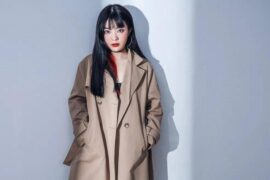 苏星婕新歌《夜的雪》歌词完整版