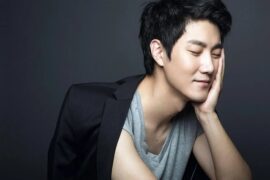 王晰新歌《过客》歌词完整版