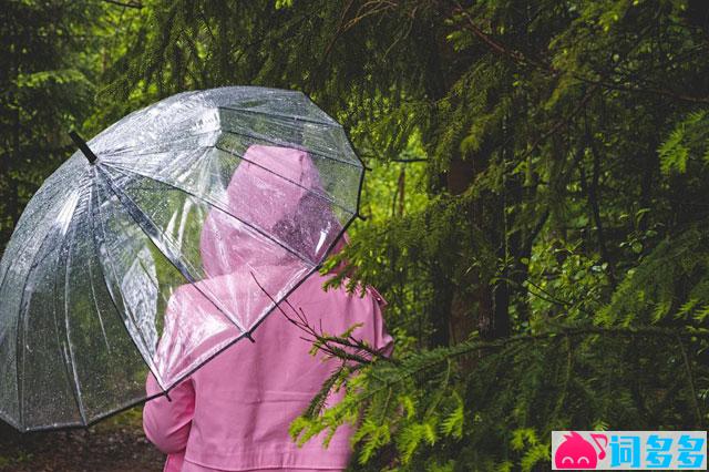 江辰《雨》歌词及评论赏析