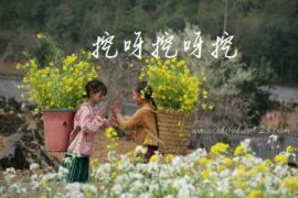 挖呀挖呀挖呀挖是什么歌