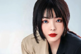 苏星婕新歌《十字路口的风》歌词完整版