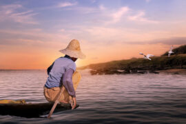 百姓的反义词有哪些？