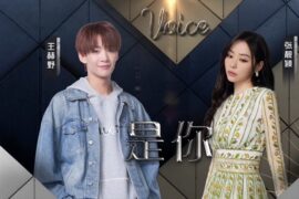张靓颖、王赫野《是你》歌词（天赐的声音Live版）