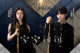 张碧晨、王赫野《字字句句》歌词（天赐的声音现场版）