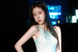 张碧晨《笼》歌词 (消失的她电影片尾曲)