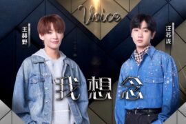 汪苏泷、王赫野《我想念》歌词（天赐的声音Live版）