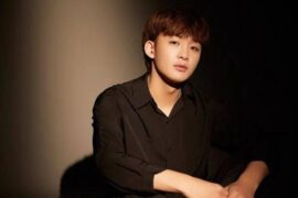 王赫野《灯火万家》歌词（我的人间烟火主题曲）