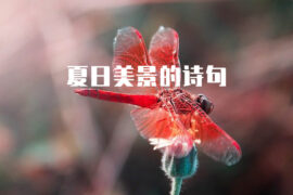 精选15首夏日美景的诗句