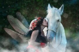 刀郎《花妖》歌词表达及评论解析