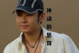 刀郎《冲动的惩罚》歌词封面图