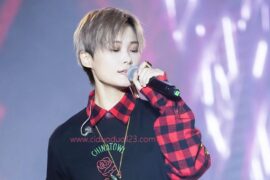 李宇春下个路口见歌词封面图