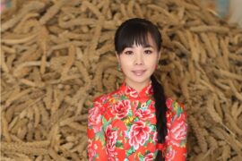 陕北民歌王二妮《圪梁梁》歌词