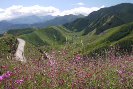 黄汝涵《到西部去》歌词