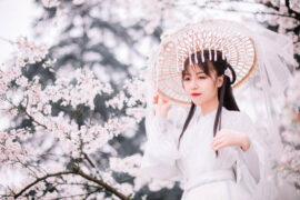 银临《腐草为萤》歌词