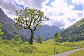 王忻辰、苏星婕《云在哭泣》歌词